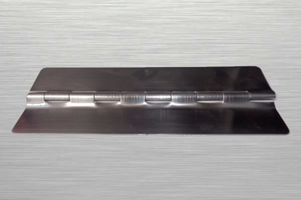 BISAGRA BISEL TRASERA B-9 BUSSCAR